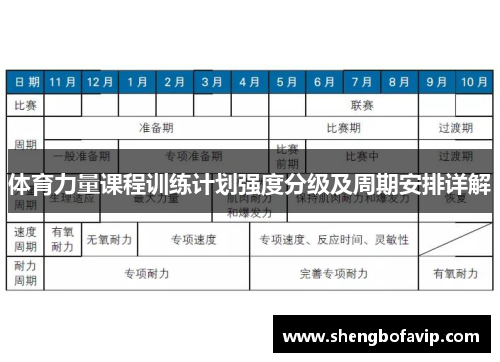 体育力量课程训练计划强度分级及周期安排详解
