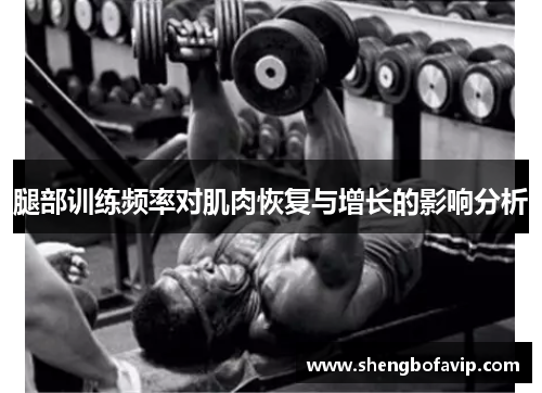 腿部训练频率对肌肉恢复与增长的影响分析