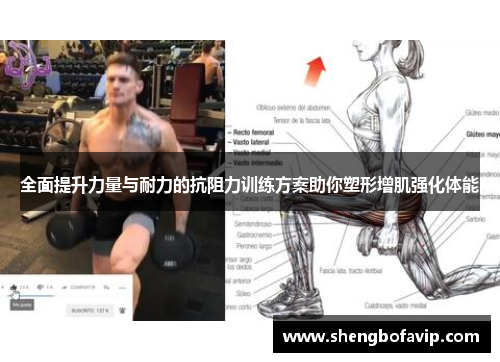全面提升力量与耐力的抗阻力训练方案助你塑形增肌强化体能